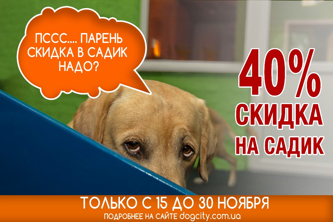 садик для собак акция