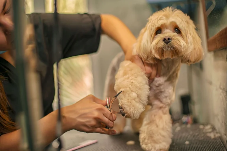 Головна